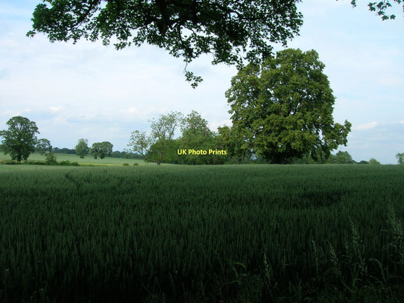 Photo 6"x4" Farmland near Boroughbridge Boroughbridge c2011