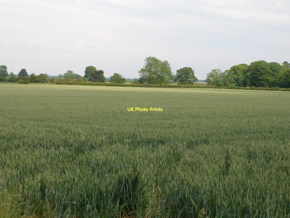 Photo 6"x4" Farmland near Aldborough Aldborough\/SE4066 c2011