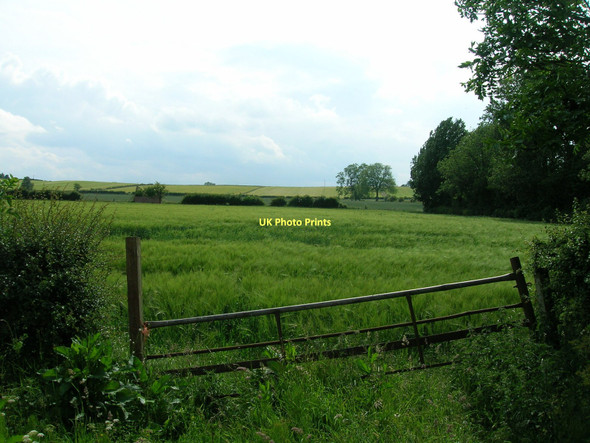 Photo 6"x4" Field entrance off Roman Road Aldborough\/SE4066 c2011