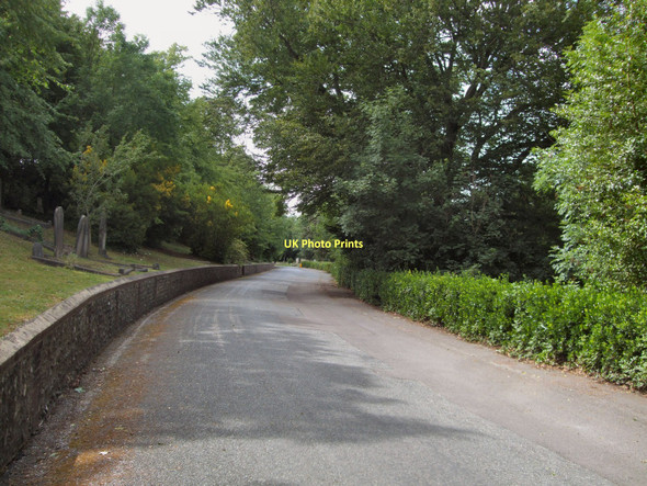 Photo 6"x4" Path to Woodvale crematorium Brighton\/TQ3106 c2011