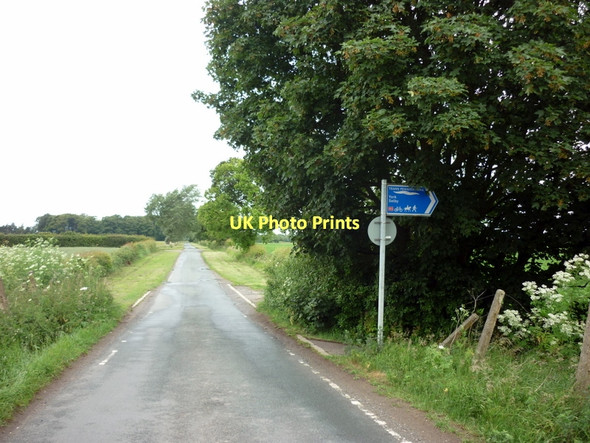 Photo 6"x4" The Trans Pennine Trail at Moor Lane, Naburn Naburn c2011