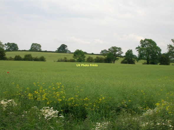 Photo 6"x4" Farmland, Aldborough Moor Grafton\/SE4163 c2011