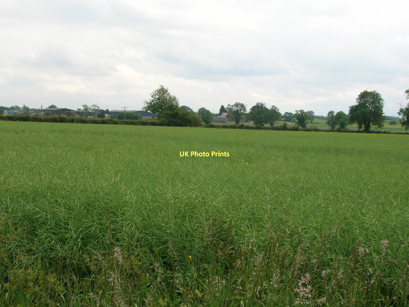 Photo 6"x4" Farmland south of Holbeck Lane Lower Dunsforth c2011
