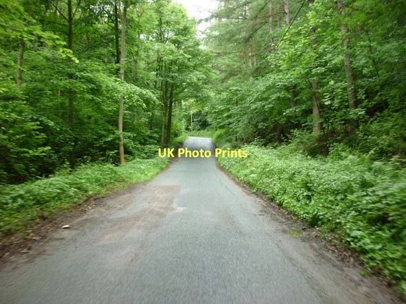 Photo 6"x4" Heading up Wass Bank towards the A170 Wass c2011