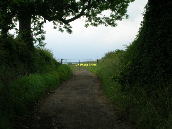 Photo 6"x4" Inhams Lane (track) Upper Dunsforth c2011