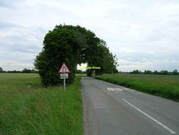 Photo 6"x4" Minor road towards Linton-on-Ouse Thorpe Underwood\/SE4659 c2011
