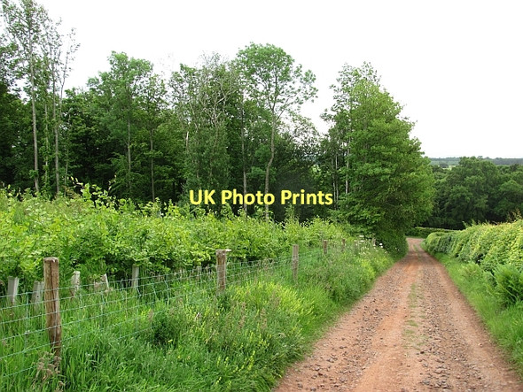 Photo 6"x4" Estate road, Marchmont Polwarth c2011