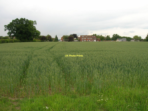 Photo 6"x4" Farmland near Linton-on-Ouse Linton-on-Ouse c2011