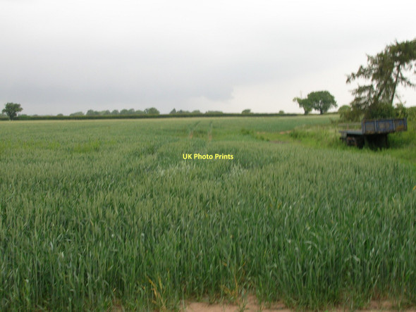 Photo 6"x4" Farmland near Newton-on-Ouse Newton-on-Ouse c2011