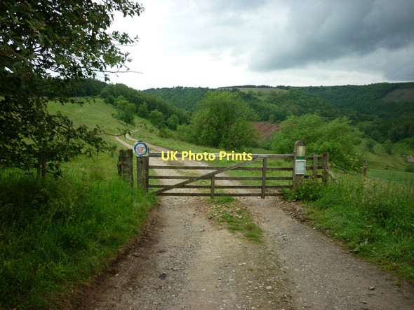 Photo 6"x4" A track leading to Dale Town Farm Murton Grange\/SE5388 c2011