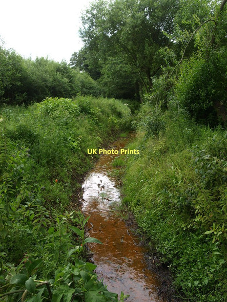 Photo 6"x4" Sideshoot of the River Flit Flitwick c2011