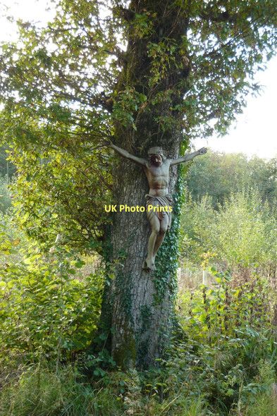 Photo 6"x4" Crucifix beyond the Hidden Garden of Hilfield Friary Batcombe\/ST6104 c2010