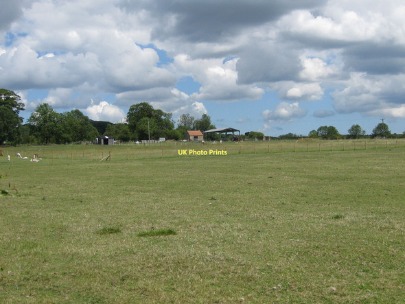 Photo 6"x4" Moorside Alpacas Kirkby Mills c2011