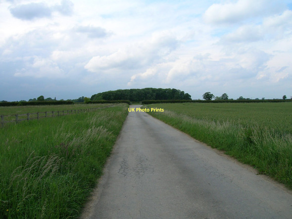Photo 6"x4" Track to Low House Farm Myton-on-Swale c2011
