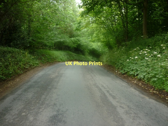 Photo 6"x4" Heading down Caulkleys Bank Nunnington\/SE6679 c2011