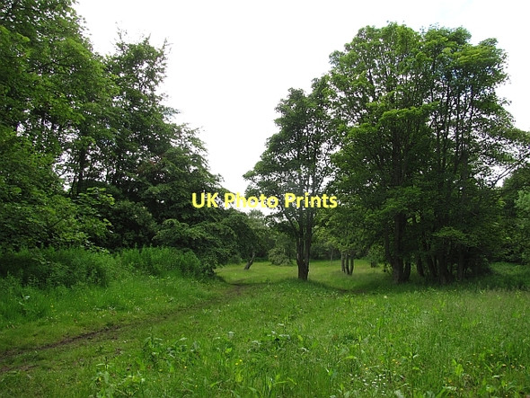 Photo 6"x4" Neilsland Park Hamilton\/NS7255 c2011