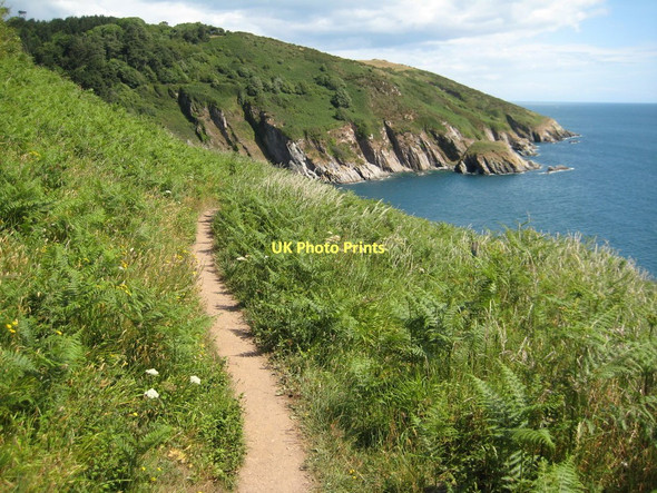 Photo 6"x4" Coast path above Pudcombe Cove Kingston\/SX9051 c2011
