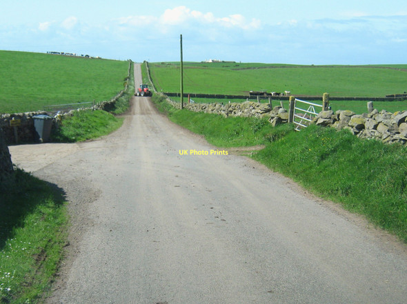 Photo 6"x4" Rush hour on the North Rhins! Kirkcolm c2011