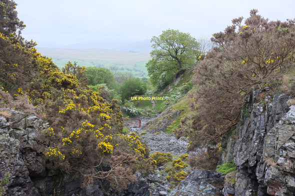 Photo 6"x4" Settlebeck Gill, looking south Sedbergh c2011