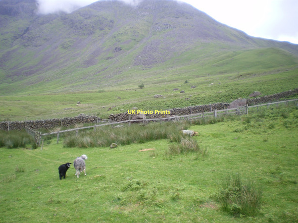 Photo 6"x4" Sheepfolds in Mosedale Wasdale Head\/NY1808 c2011