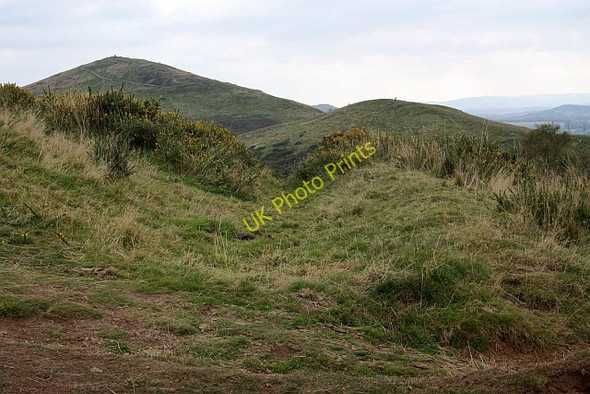 Photo 6"x4" Old ditch and bank, North Hill Great Malvern c2009