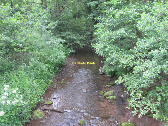 Photo 6"x4" Rhiangoll at Wern Cwmrhos c2011