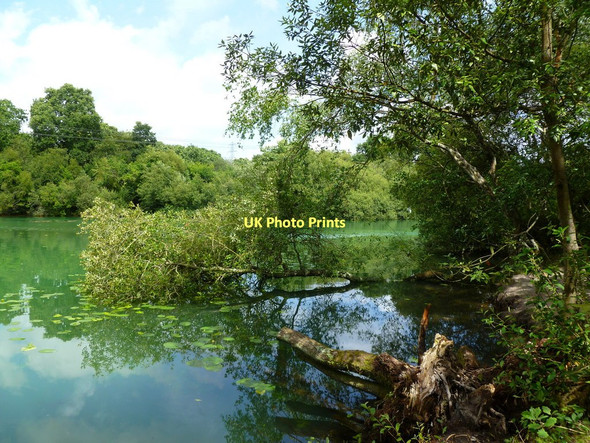 Photo 6"x4" Creekmoor Ponds Poole\/SZ0191 c2011