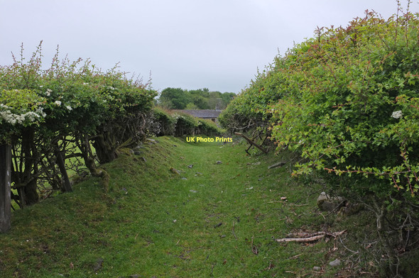 Photo 6"x4" Sunken track leading to High Oaks High Oaks\/SD6291 c2011