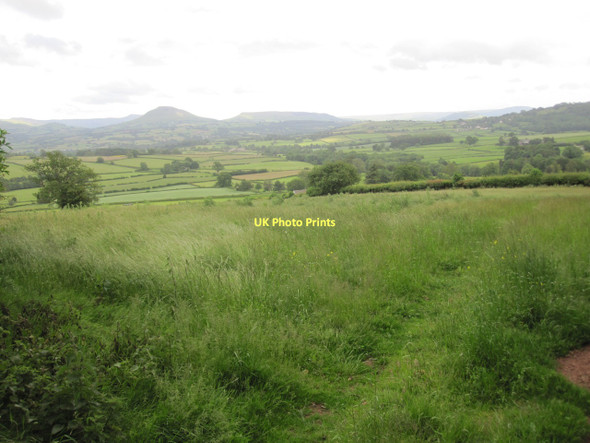 Photo 6"x4" Grassland \/ pasture, Brechfa Felin-newydd c2011