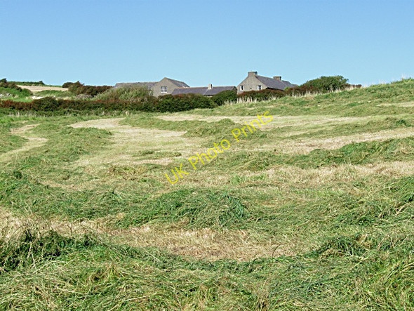 Photo 6"x4" Hayfield and Houses Ballycotton c2009
