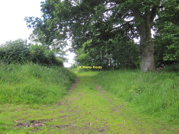 Photo 6"x4" Track near Felin-newydd Felin-newydd c2011