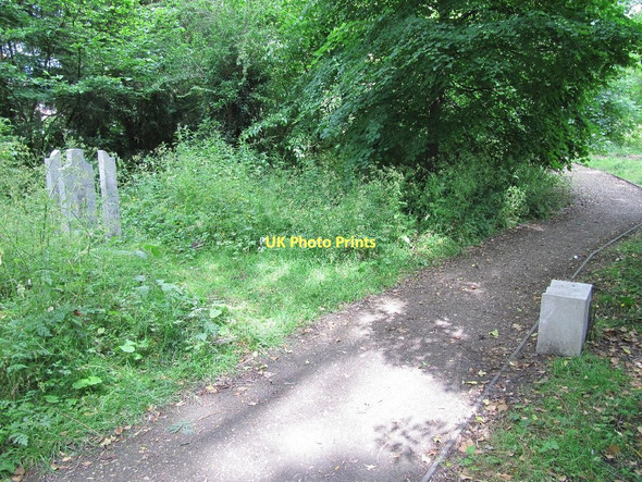 Photo 6"x4" Path in the park Wantage c2011