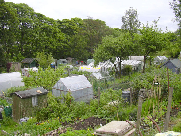 Photo 6"x4" Free Lane Allotments, Helmshore Ewood Bridge c2011