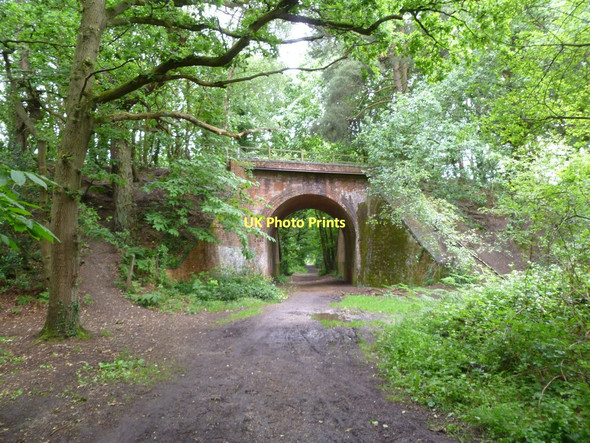 Photo 6"x4" Pinesprings, skew bridge Hillbourne c2011