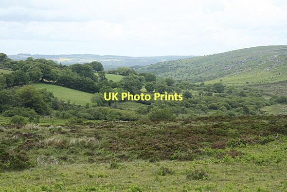Photo 6"x4" Manaton: towards Holwell Bonehill\/SX7277 c2011
