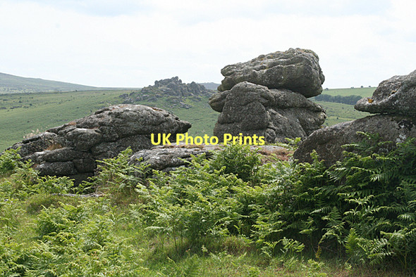 Photo 6"x4" Manaton: south to Hound Tor Water\/SX7580 c2011