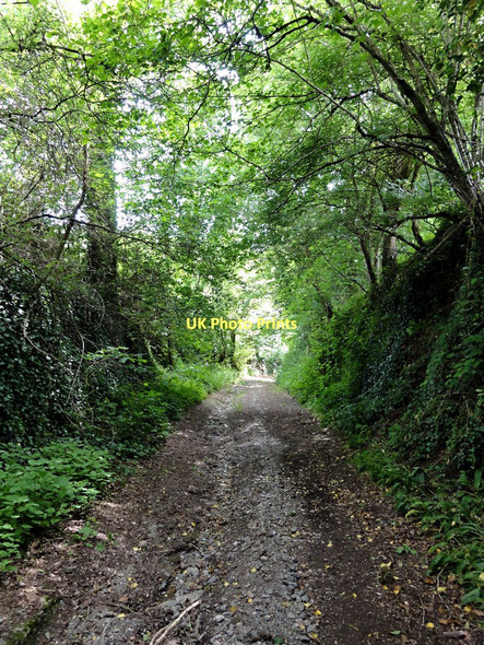 Photo 6"x4" Green Lane to Loddiswell Loddiswell c2011