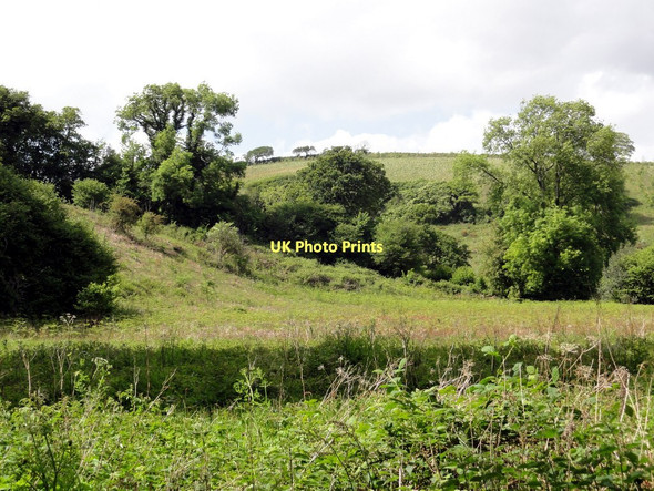 Photo 6"x4" Uncultivated Land in the Avon Valley Loddiswell c2011