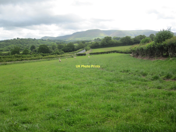 Photo 6"x4" Pasture land south of Talgarth Talgarth\/SO1533 c2011