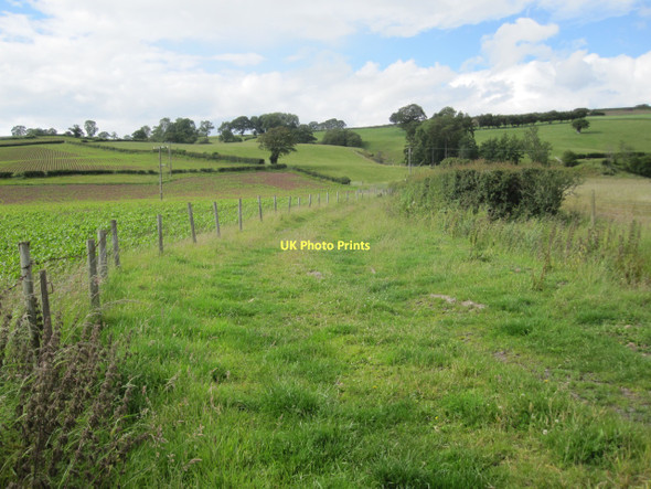 Photo 6"x4" Bridleway, Boughrood Brest Boughrood Brest c2011
