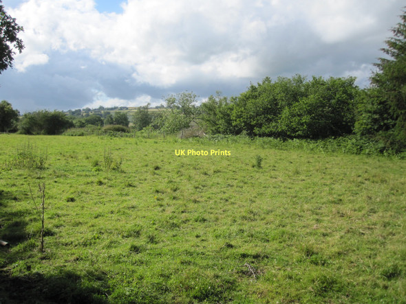 Photo 6"x4" Rough pasture by the Wye (the hedgeline marks the course of the dismantled railway) Coldbrook\/SO1536 c2011