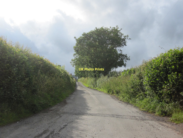Photo 6"x4" Farm lane near Bronllys Coldbrook\/SO1536 c2011