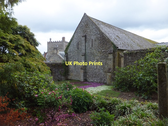 Photo 6"x4" Thyme bed at Buckland Abbey Milton Coombe c2011