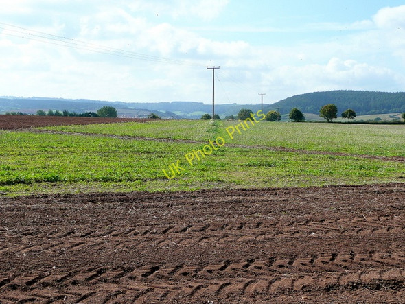Photo 6"x4" Between crops Bromsash c2009