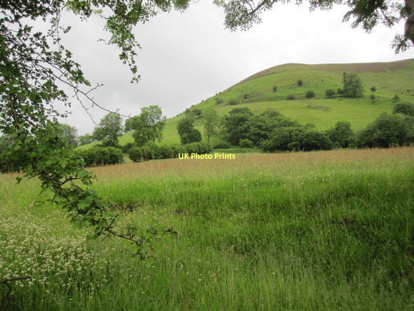 Photo 6"x4" Grassland on the eastern flank of Mynydd Troed Pengenffordd c2011