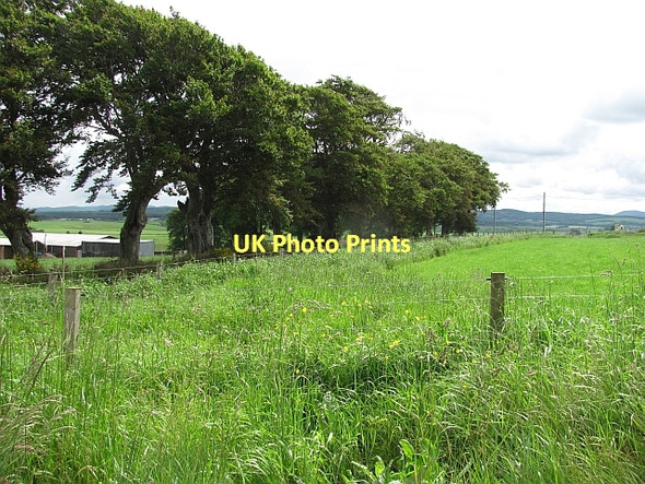 Photo 6"x4" Tie Road No.2 Pettinain c2011