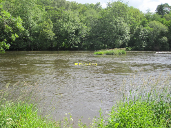 Photo 6"x4" River Wye: the full width with high water levels Erwood c2011