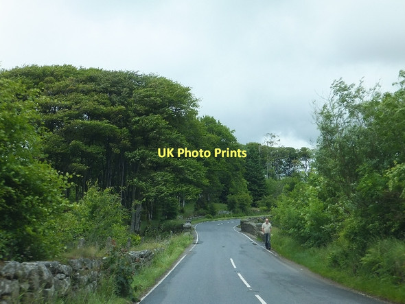 Photo 6"x4" Oakery Bridge over the Blackbrook River Princetown\/SX5873 c2011