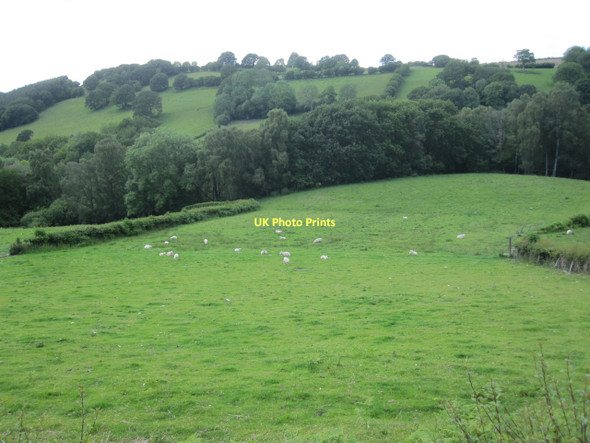 Photo 6"x4" Pasture land above Sgithwen Brook Erwood c2011