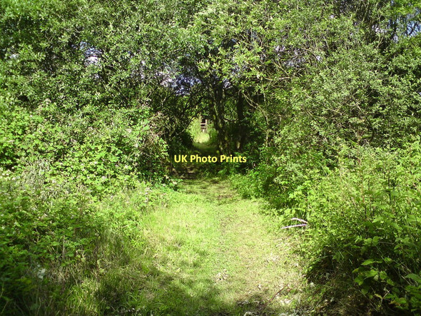 Photo 6"x4" Footpath to Clayford Road Cold Inn c2011